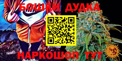 ПСИЛОЦИБИНОВЫЕ ГРИБЫ Обь