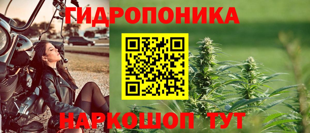 МАРИХУАНА планчик  Бошки марихуана White Widow  Вход с VPN  Бошки марихуана LSD WEED  МАРИХУАНА гибрид  Армавир 